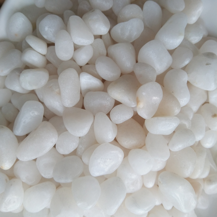 DL-020 polished white-3