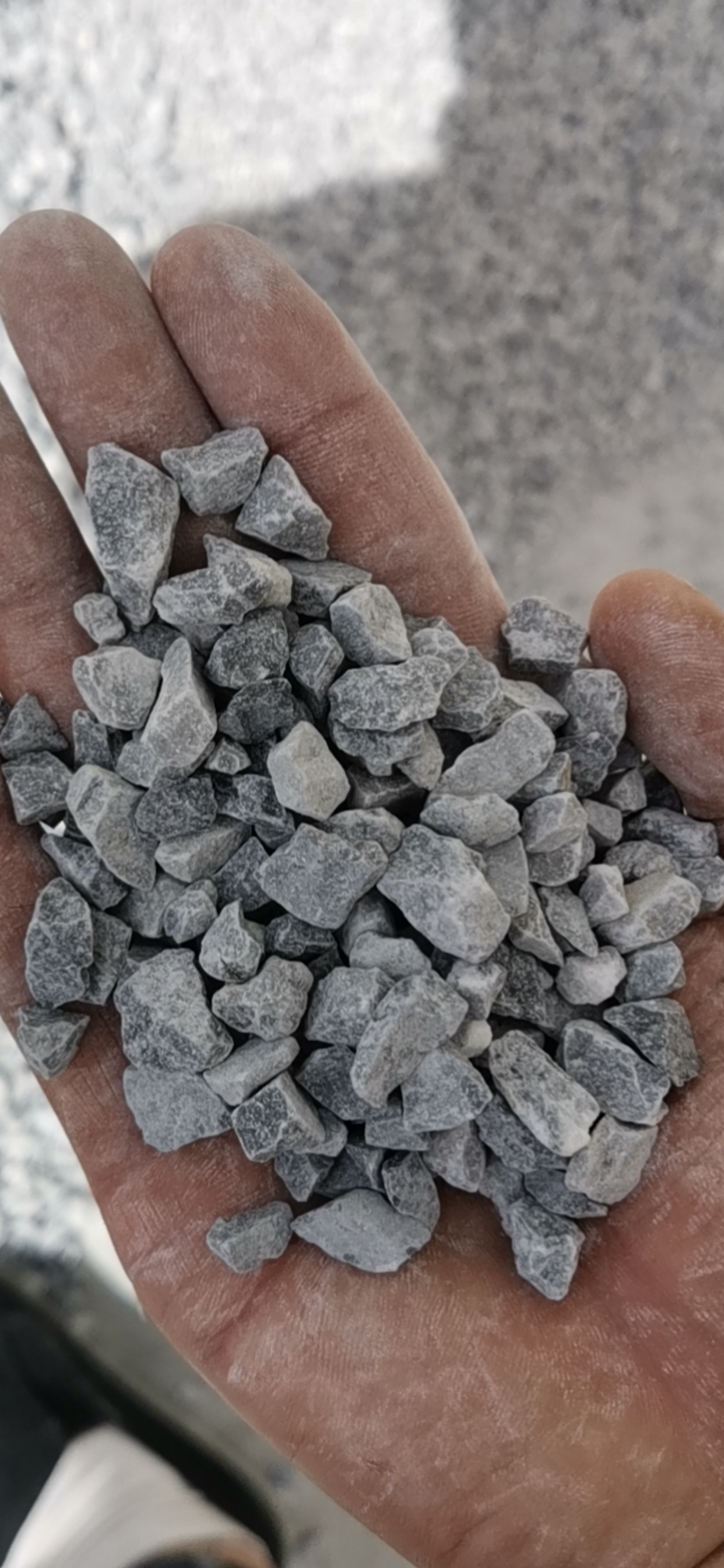 HB-010 gray color chips
