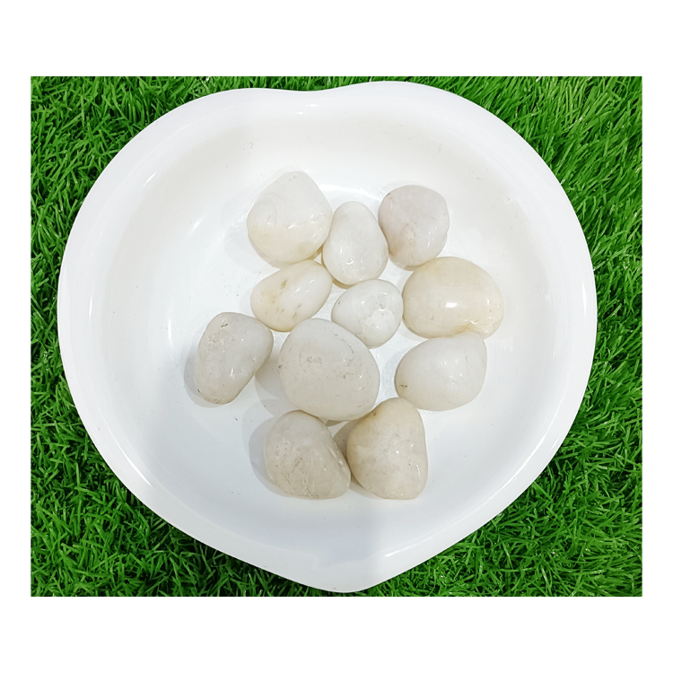 NJ-002-high-white(1)