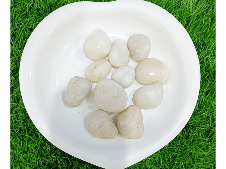 NJ-002-high-white(11)